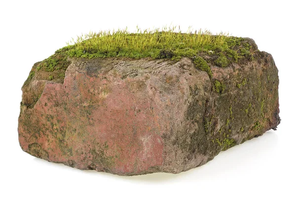 Moss no velho tijolo vermelho isolado em um fundo branco — Fotografia de Stock