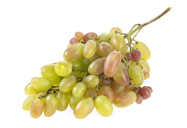 Букет стиглого винограду ізольований на білому тлі — стокове фото