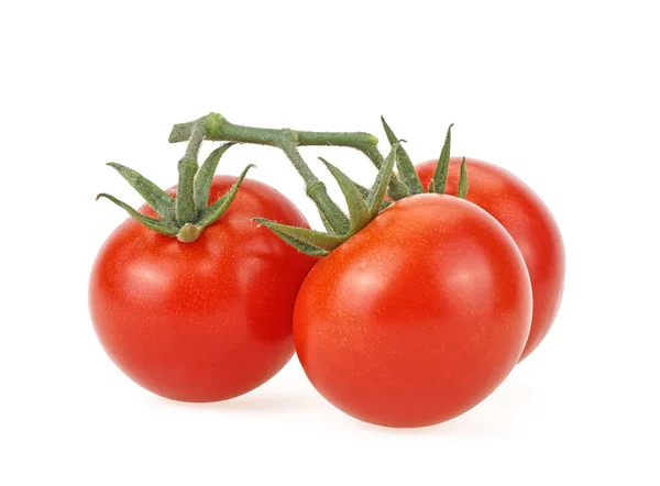 Pomidory wiśnia na zielonej gałęzi izolowane na białym tle — Zdjęcie stockowe
