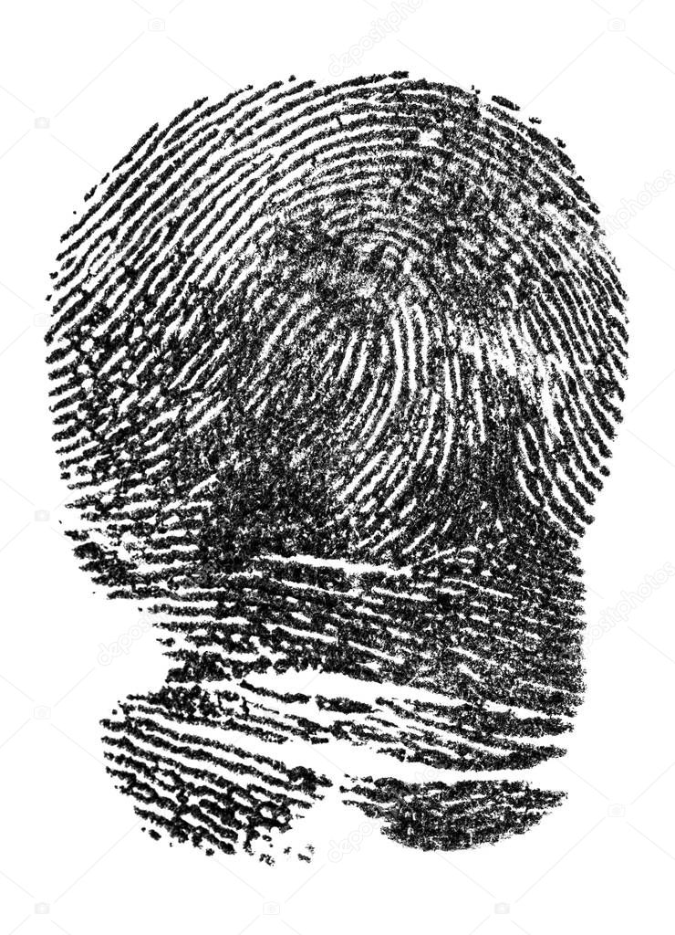 Black ink fingerprint isolated on a white background. Police fin