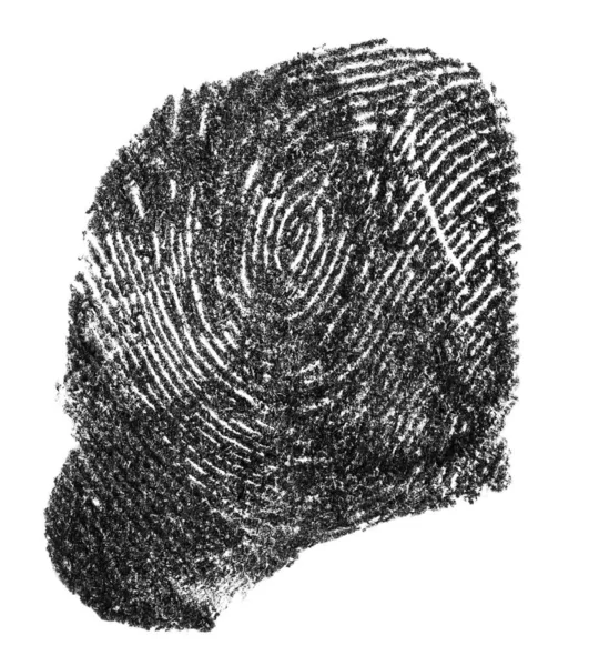 Impronta digitale inchiostro nero isolata su uno sfondo bianco — Foto Stock