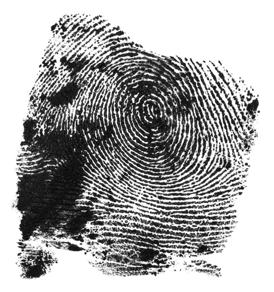 Black ink fingerprint isolated on a white background. Human fing — Stock Photo, Image