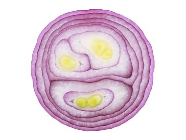 Beyaz zemin üzerinde mor soğan dilimi, üst görünüm.