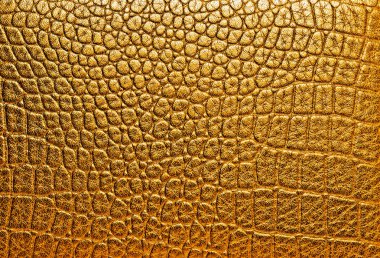 Timsah derisinin dokusu, altın rengi..