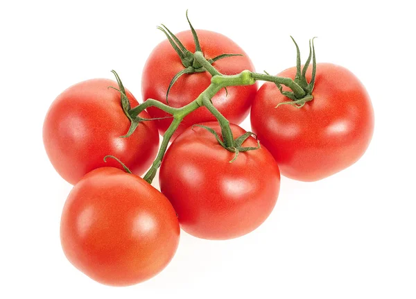 Tomates Cereja Frescos Isolados Sobre Fundo Branco Ramo Tomate — Fotografia de Stock