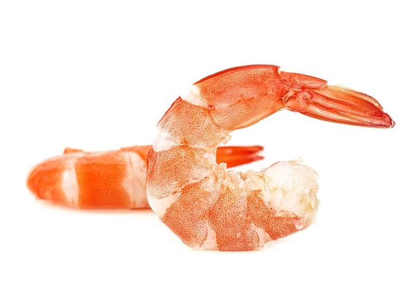 Two Steamed Tiger Shrimp Isolated White Backgroun — Stock Photo, Image