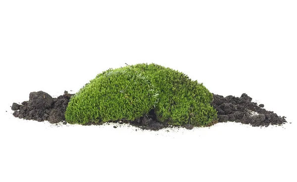 Zelený Mech Hromada Hlíny Izolované Bílém Pozadí Výstřižkem Stezka — Stock fotografie