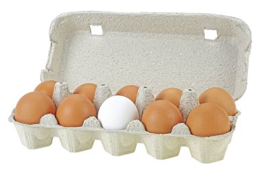 Karton paketteki doğal organik tavuk yumurtaları beyaz arka planda izole edilmiş. Sarı yumurtalar ve bir beyaz paket.