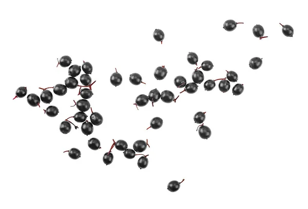 Färsk Frukt Svarta Fläderbär Isolerad Vit Bakgrund Ovanifrån — Stockfoto