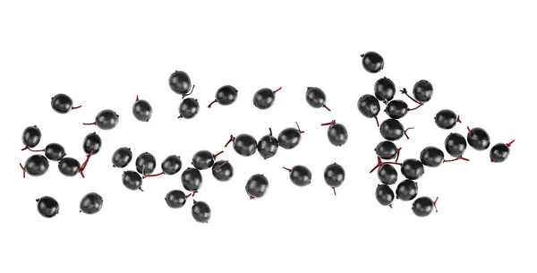 Siyah Mürver Meyvesi Beyaz Arka Planda Izole Edilmiş Üst Manzara — Stok fotoğraf