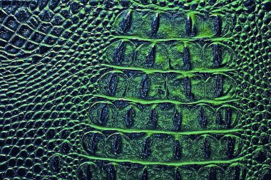 Koyu timsah desenli arka plan, yeşil renk. Sürüngen derisi.