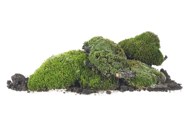 Зеленый Мох Кучи Грязи Изолированы Белом Фоне — стоковое фото