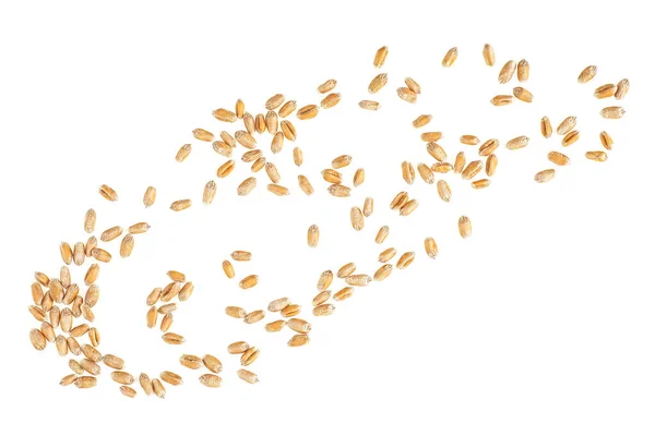 Зерна Пшеницы Изолированы Белом Фоне Вид Сверху — стоковое фото