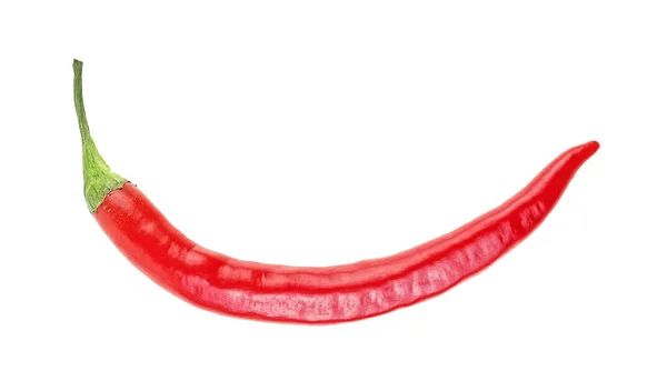 Röd Varm Chili Peppar Isolerad Vit Bakgrund — Stockfoto