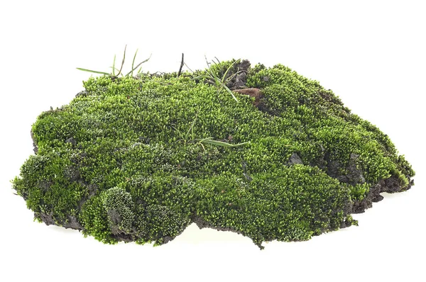 Green Moss Grass Pile Dirt Isolated White Background — Stock Photo, Image