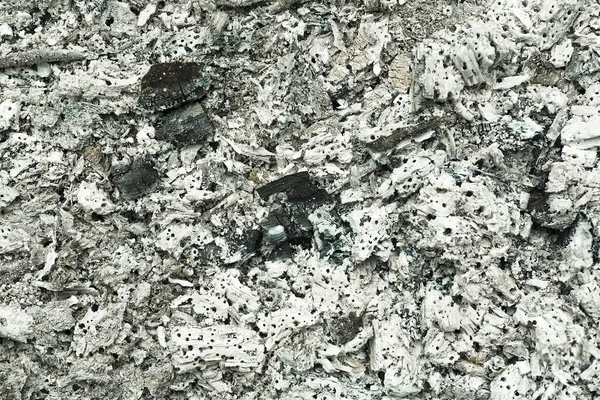 Ashes Texture Background Grey Ashes Wood Fireplace — Stock Photo, Image