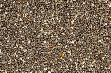 Arka plan olarak chia tohumlarının yakın çekim dokusu. Taze sağlıklı ve lezzetli chia tohumlarının geçmişi.