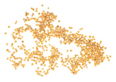 Sarı hardal tohumları beyaz arka planda izole edilmiş, üst manzara. Kuru hardal tohumları..