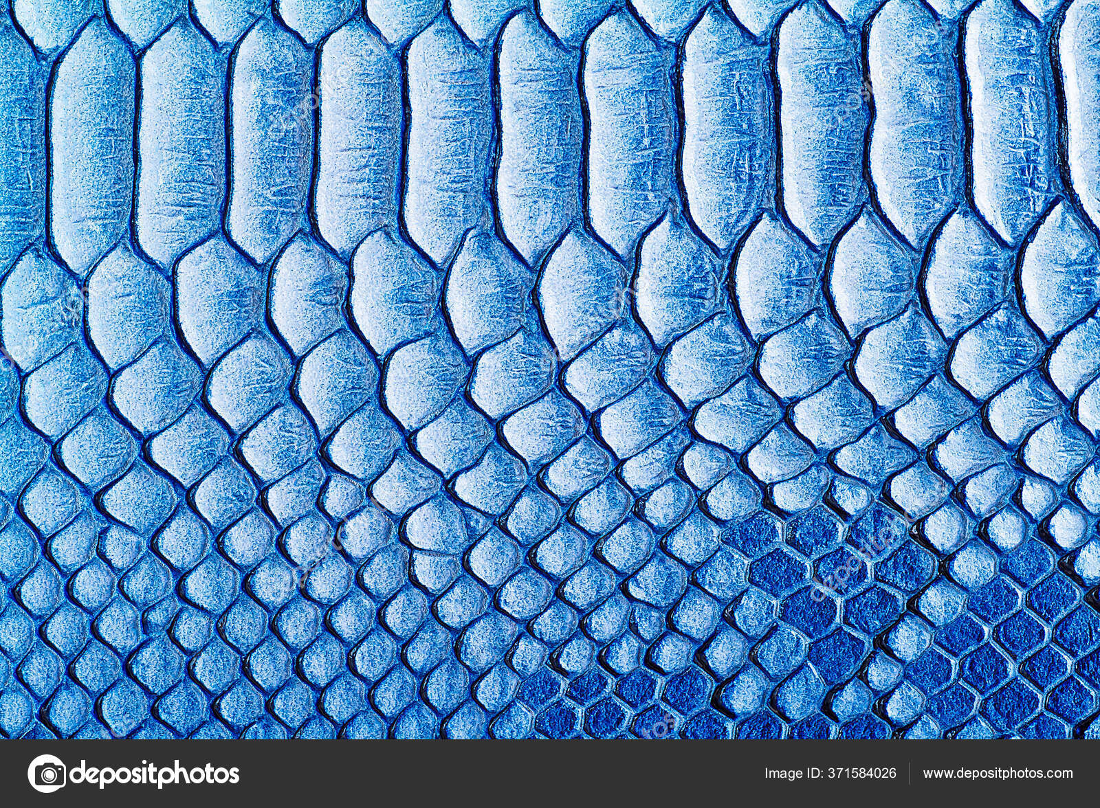 Abstract Skin Texture Use Background Blue Color Stock Photo by ...