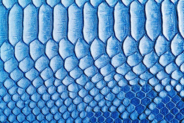 Texture Abstraite Peau Utiliser Pour Fond Couleur Bleue — Photo