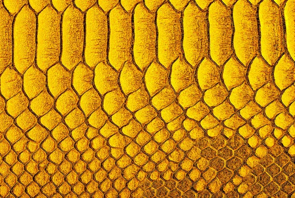 黄色蟒蛇皮背景 黄色爬行动物皮革纹理 爬行动物异国皮革 — 图库照片