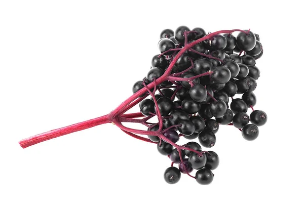 Black Elderberry Fresh Fruit Isolated White Background Black Elder Berries — Stock Photo, Image