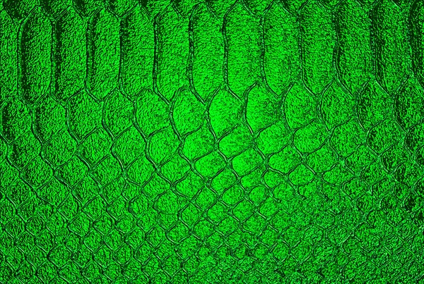 Abstract green snake skin background. Green python snake skin texture.