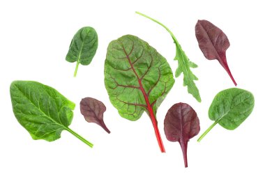 Salata karışımı roka, ıspanak, kırmızı pazı yaprakları ve beyaz arka planda boğaların kanı. Üst Manzara. Sağlıklı ve diyet yemekleri.