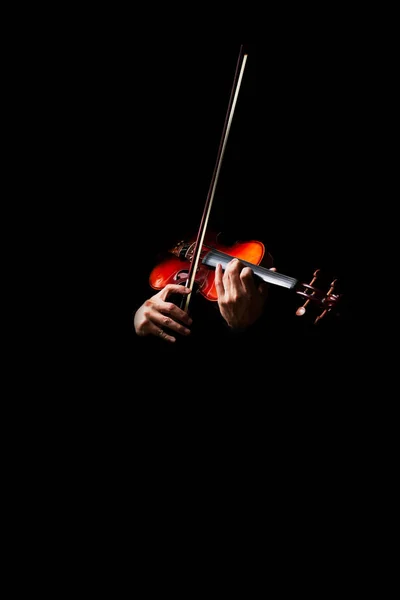 Male musician hands playing classical violin — Stock Photo, Image