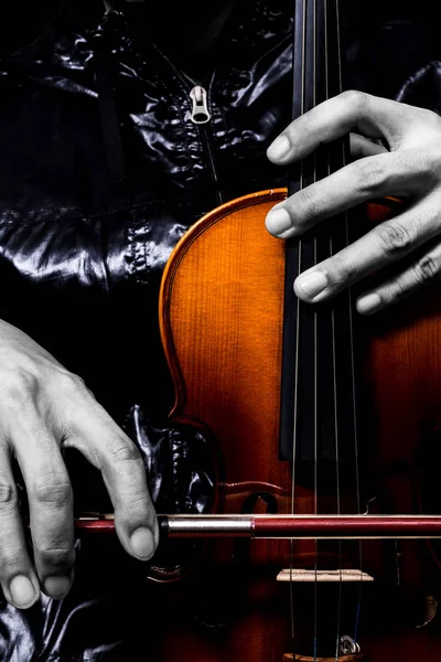 Violinist hands posing on classical violin — Stock Photo, Image