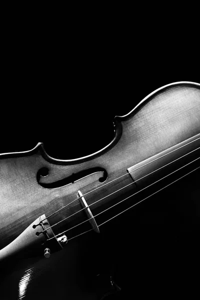 Violin & beautiful rim light showing classic shape on black carpet — Stock Photo, Image