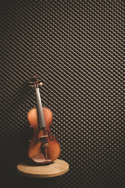 classical violin on acoustic board background in recording studio