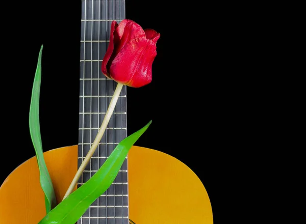 Röd blomma på akustisk gitarr — Stockfoto