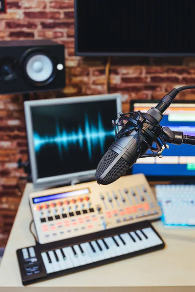 Condenser Microphone Digital Recording Broadcasting Post Production Home Studio — Stock Photo, Image