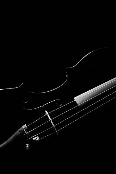Luce Del Bordo Che Mostra Bella Forma Violino Classico Nero — Foto Stock