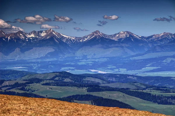 Zasněžené vrcholky a zelenými kopci v západní Tatry, Liptov, Slovensko — Stock fotografie