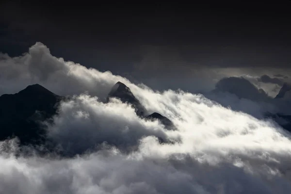 Majestic peaks rise above the clouds, Carnic Alps, Italy — Stock Photo, Image