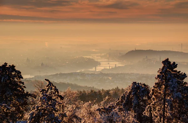 Glowing sunrise over Budapest and Danube in winter morning mist — Stock Photo, Image