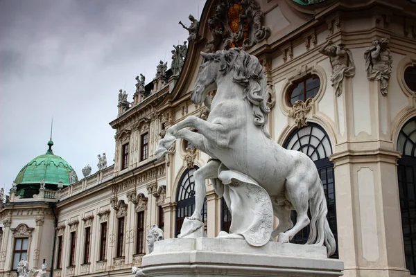 Statua del cavallo bianco che alleva Belvedere Palace Vienna Austria — Foto Stock