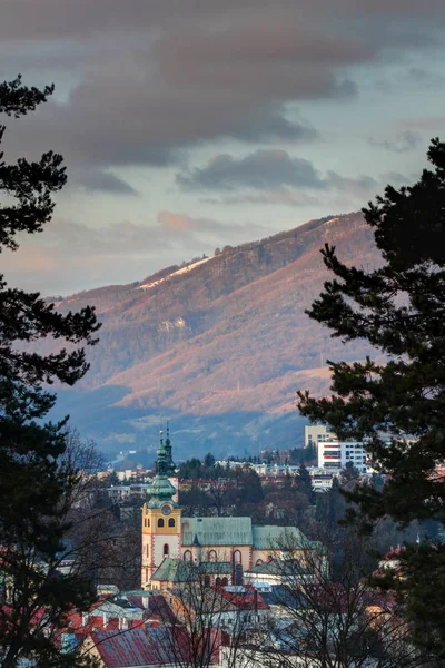 Vista elevata del centro storico di Banska Bystrica tra pini — Foto Stock