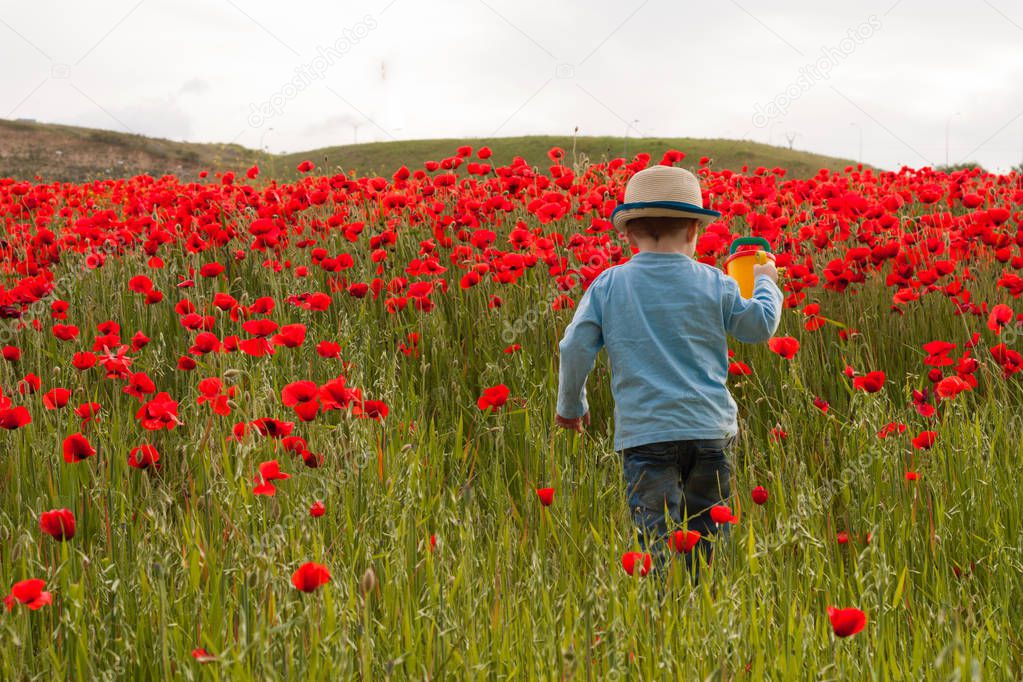 Little boy watering flowers in a poppy field 