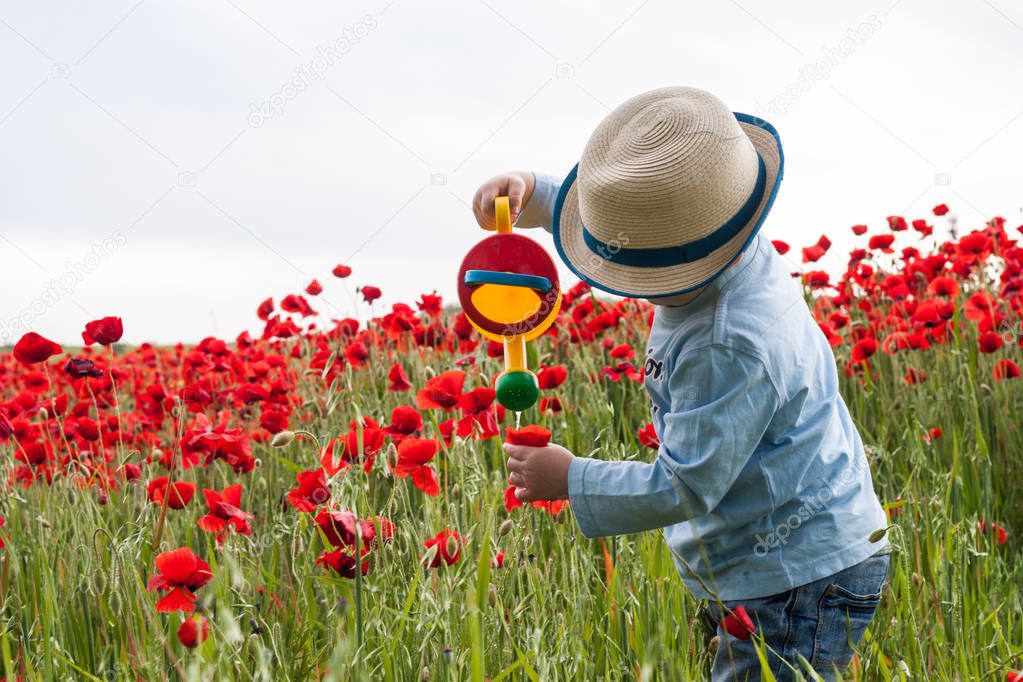 Little boy watering flowers in a poppy field