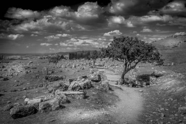 Siyah ve beyaz fotoğraf taşlık yolun