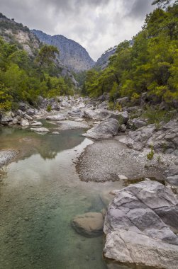 Nehir sakin dağ, taş, ağaçlar, çalılar görünümü