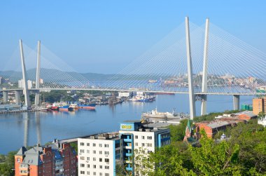 Vladivostok, Rusya, Haziran, 01, 2016. Köprünün Haliç bulutlu havalarda Vladivostok içinde defne