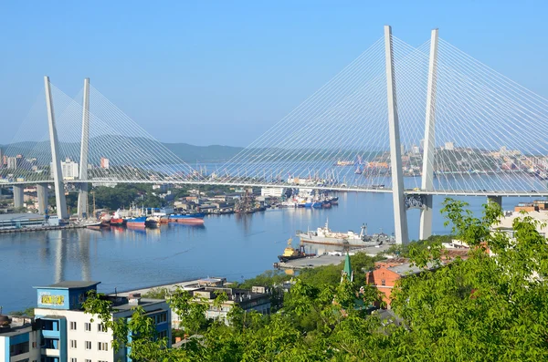 Βλαδιβοστόκ, Ρωσία, Ιουνίου 01, 2016. Η γέφυρα πέρα από το χρυσό κέρατο bay στο Βλαδιβοστόκ με ΣΥΝΝΕΦΙΑ — Φωτογραφία Αρχείου