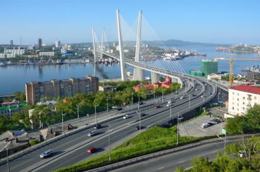 Vladivostok, Rusya, Haziran, 01, 2016. Köprünün Haliç güneşli bir günde Vladivostok içinde defne