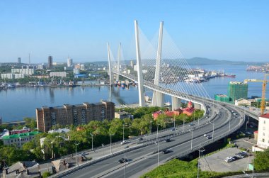 Rusya, köprünün Haliç güneşli bir günde Vladivostok içinde defne