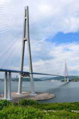 Vladivostok, Rusya Federasyonu, askılı köprüye Rus Adası
