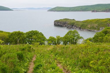 Vladivostok, Rusya Adası, bulutlu havalarda yaz aylarında yeni Dzhigit Bay
